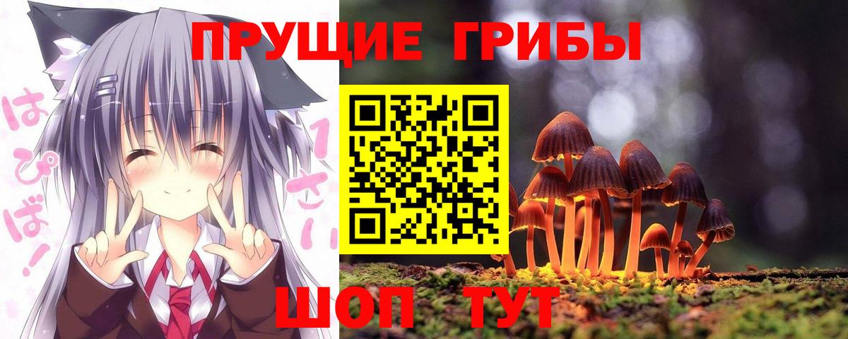 Малгобек  купить наркоту  Вход с VPN  Галлюциногенные грибы MAGIC MUSHROOMS 